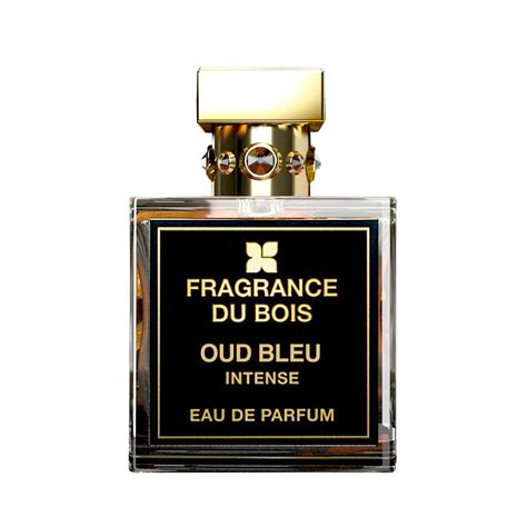 dior oud bleue